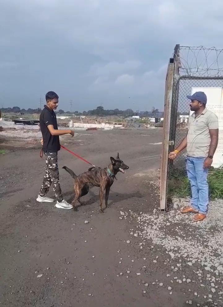 जिंदल सीमेंट प्लांट में नौकरी मांगने पहुंचे ग्रामीणों को कुत्ते से डराया गया, उग्र आंदोलन की चेतावनी