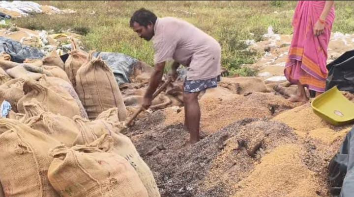 सरगुजा में अन्नदाता का अपमान: करोड़ों के अनाज का घोटाला, अधिकारी चुप