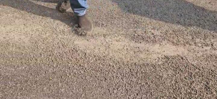 अंबिकापुर में निगम बनवा रहा करोड़ों की घटिया सड़क, लोगों ने खोदकर दिखाई सच्चाई