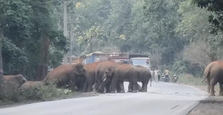 पति की हत्या कर शव को सूटकेस में छिपाने वाली महिला महाराष्ट्र से गिरफ्तार