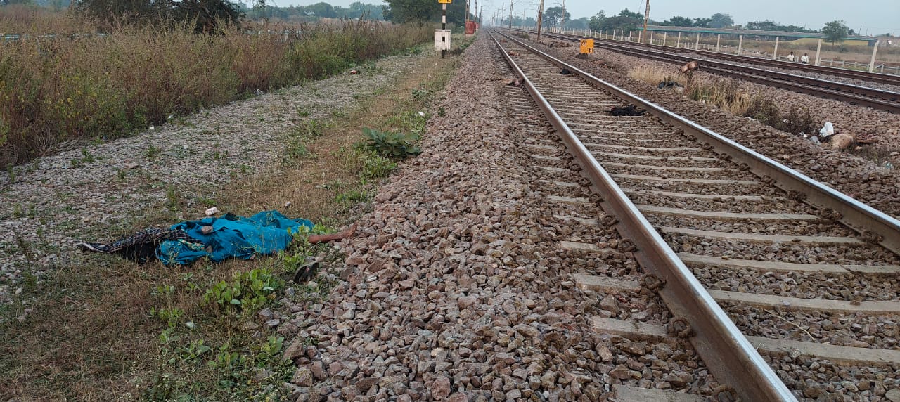 ट्रेन की चपेट में आने से महिला और 16 बकरा-बकरी की मौत