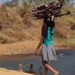 आश्वासन थमा, पुल नहीं… कौरगांव के ग्रामीणों ने खुद खड़ा किया जिंदगी का ‘जुगाड़ पुल’