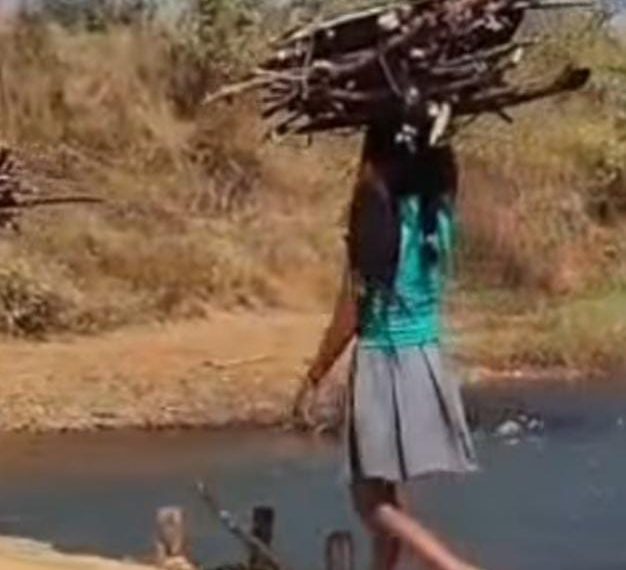 आश्वासन थमा, पुल नहीं… कौरगांव के ग्रामीणों ने खुद खड़ा किया जिंदगी का ‘जुगाड़ पुल’