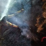 पैरावट में युवक का अधजला शव बरामद, कीटनाशक खाने के बाद खुद को आग लगाकर दी जान