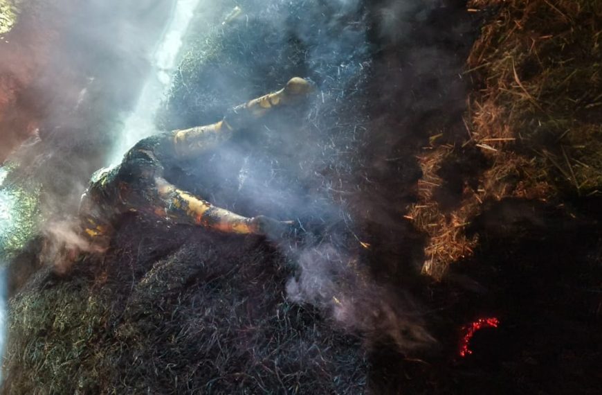 पैरावट में युवक का अधजला शव बरामद, कीटनाशक खाने के बाद खुद को आग लगाकर दी जान