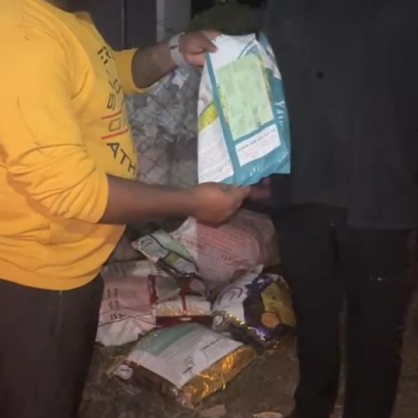 एक्सपायरी धान मंडी में खपाने की साजिश नाकाम,&hellip;